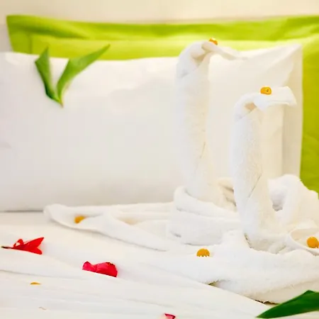 דירה Nefeli קוקונאריס